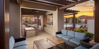 Harvest in Tracy Gallery 27