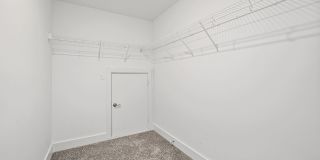 Modern Three Bedroom! Gallery 37