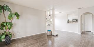 French Place Gallery 4