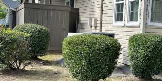 Carmel Woods Gallery 7