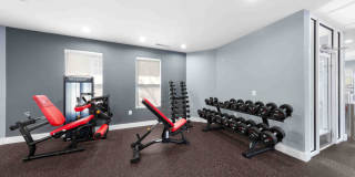 TGM Bull Run Gallery 29