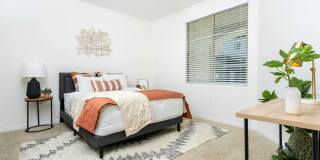 Monument Chandler Gallery 4