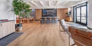 Elm at Panorama Gallery 33