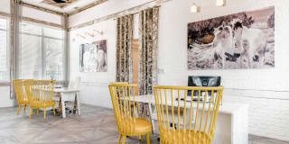 Capital Crest at Godley Station Gallery 20