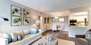 Springhouse Gallery 18