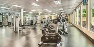 Versailles Gallery 14