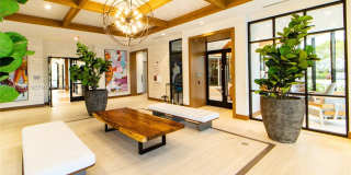 Metropolitan at Coral Square Gallery 4