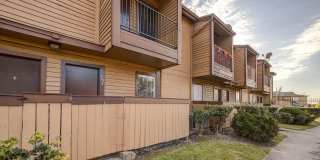 Ashford Casa Bella Gallery 21