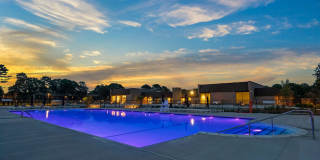 Renaissance Bay Gallery 24