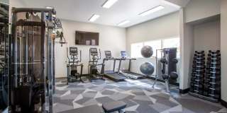 Paseo 51 Gallery 11