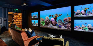 Camden Gallery 30