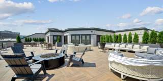 Piper Piper Gallery 18