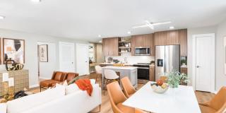 Modera LoSo Gallery 1