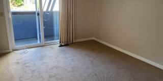 1970 Bush Street 1970 Bush Street Gallery 17