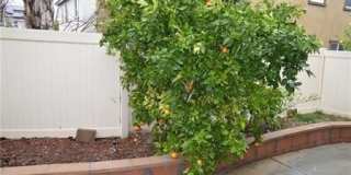 16204 Crane Court Gallery 27