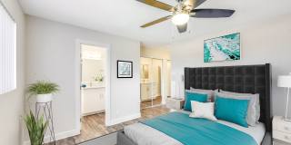 Echo 116 Apartment Homes Gallery 9