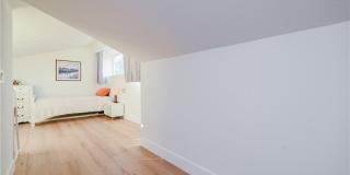 15 Camphor S Gallery 19