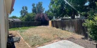 4425 Hollyhock Street Gallery 21