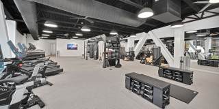 Triangle Square Gallery 15