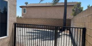 15177 Dandelion Gallery 26