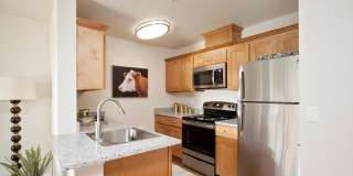 Millennium Park Gallery 10