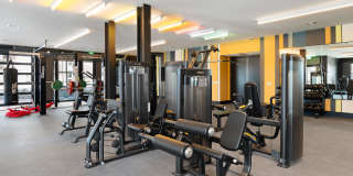 The Laura Gallery 25