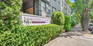 Forestry Court Gallery 1