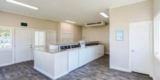 Casa Luna Apartments Gallery 9