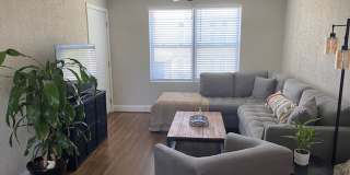 Avondale I Apartments Gallery 8