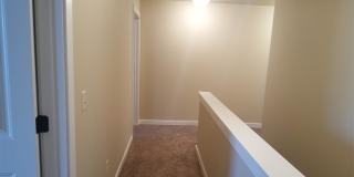 1113 Longbow - A Gallery 11
