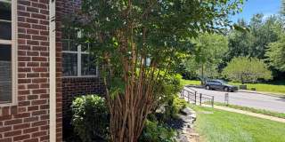 Spacious 4 Bedroom 2 1/2 Bath Home For Rent in Sango Area! Gallery 4