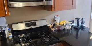 Massive Luxury Apt in Packards Corner Near BU!  Central AC & Heat, XL Rooms! Gallery 4