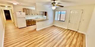 259 S Brevard Avenue Gallery 4
