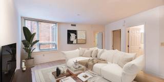 The Veridian Gallery 52