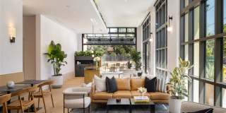 Springline Menlo Park Gallery 31