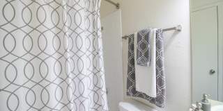 The Annex Gallery 17