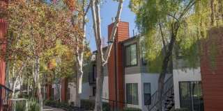 Eclipse 96 Apartments Gallery 10