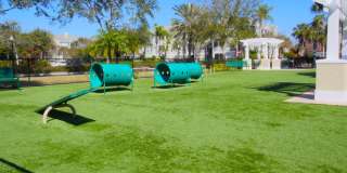 11852 Martin Luther King Street N Gallery 5