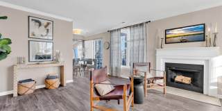 The Chapman Gallery 7