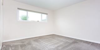 Traditional Single Family with Spacious Yard! Gallery 22