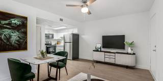 Aster on University Gallery 2