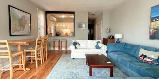 Winter Rental: Pirate's Cove (Pet-friendly!) Gallery 5
