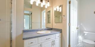 Highlands Ranch Newly Renovated 3 bed 2.5 bath Gallery 14