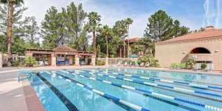 2913 Vista Butte Drive Gallery 35