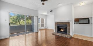 700 S 1st St, #202 Gallery 1