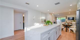 15 Camphor S Gallery 10