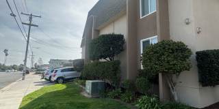 268 Gallery 4