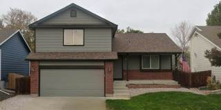 2451 Wolf Creek Dr, Gallery 1