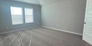 2924 Firefly Drive Gallery 12