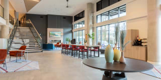 Modera River Trail Gallery 22
